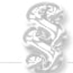 Profil-Bild Rechtsanwältin Cary Barner