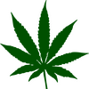 Legalisierung von Cannabis: Planen Sie die Gründung eines Cannabis-Clubs? Das sollten Sie beachten