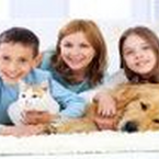 Umgangsrecht für Kinder nicht auf Hund übertragbar