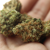Das neue Cannabisgesetz: was ist erlaubt, was ist verboten?