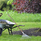 Mietrecht Gartenpflege – Das müssen Mieter beachten!