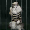 Tiere vor Gericht – wichtige Urteile zu Hund, Katze & Co