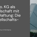 Die GmbH & Co. KG als Personengesellschaft mit beschränkter Haftung: Die "perfekte" Gesellschaftsform ?!