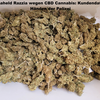 Cannaheld Razzia: CBD Cannabis Strafverfahren - Kundendaten beschlagnahmt durch Polizei! 