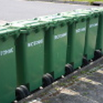 Biotonne ist Pflicht – auch für Kompostierer