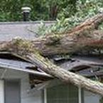 Baum fällt aufs Dach: Haftpflicht?