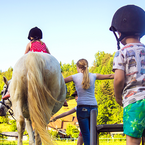 Haftung der Eltern beim Umgang der Kinder mit Pferden