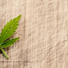 Cannabis auf Rezept & Führerschein – ist die MPU Pflicht?