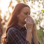 Allergiker vs. Botaniker – Wer bekommt Recht? - Der Streit um den Pollenflug aus dem nachbarlichen Garten -