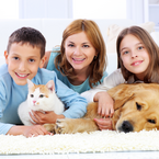 Katzensteuer, Hundesteuer, Pferdesteuer: Tierische Einnahmequellen