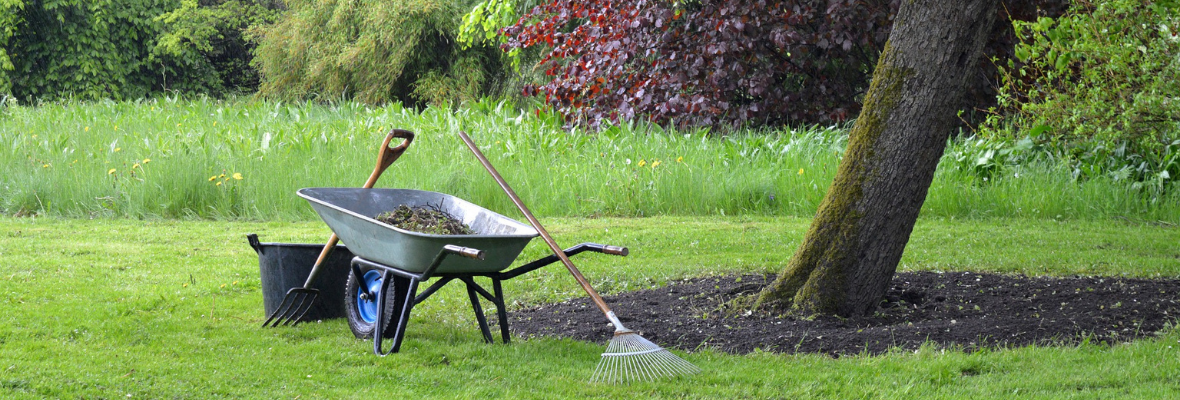 Mietrecht Gartenpflege - Das müssen Mieter beachten!