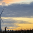 Windenergie nimmt ab 2024 Fahrt auf - Beratung für ​Flächeneigentümer