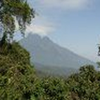 Exklusiv-Interview mit Entwicklungsminister Dirk Niebel: „Der Virunga-Nationalpark ist durch die geplante Erdölförderung bedroht“