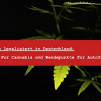 Cannabis-Legalisierung in Deutschland: Veränderte Haftung im Cannabisgesetz und Wendepunkte für Autofahrer