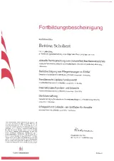 Fortbildungsbescheinigung des Deutschen Anwaltverein 2024