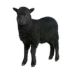 Bezeichnung der Konkurrenz als „schwarze Schafe“