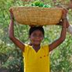 Kinderarbeit: Vom Ausbeuten, Überleben und Helfen