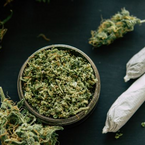 Rechtliche Grenzen: Cannabis - Eigenbedarf und strafrechtliche Konsequenzen