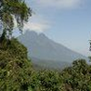 Exklusiv-Interview mit Entwicklungsminister Dirk Niebel: „Der Virunga-Nationalpark ist durch die geplante Erdölförderung bedroht“