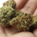 Das neue Cannabisgesetz: was ist erlaubt, was ist verboten?