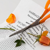 Eheaufhebung – Welche Vorteile bietet sie gegenüber der Scheidung?