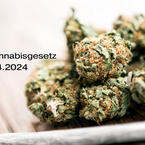 Neues Cannabisgesetz 01.04.2024 – Was ändert sich?