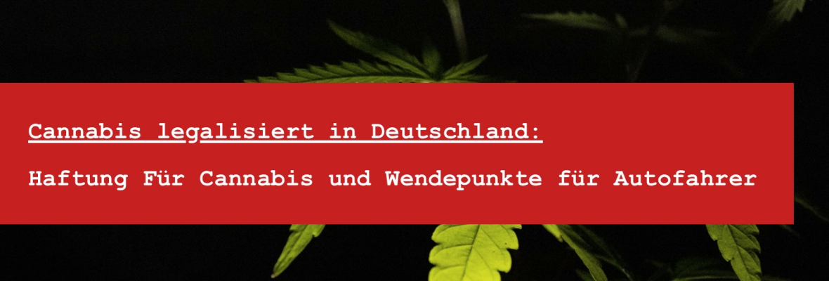 Cannabis Legalisierung Deutschland - THC Autokontrolle - Was tun?